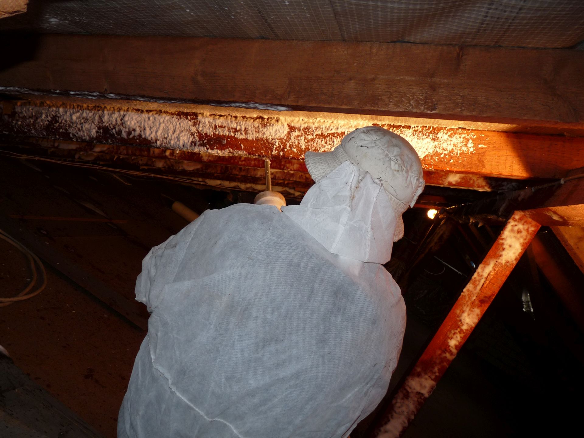 Maßnahmen zum Holzschutz